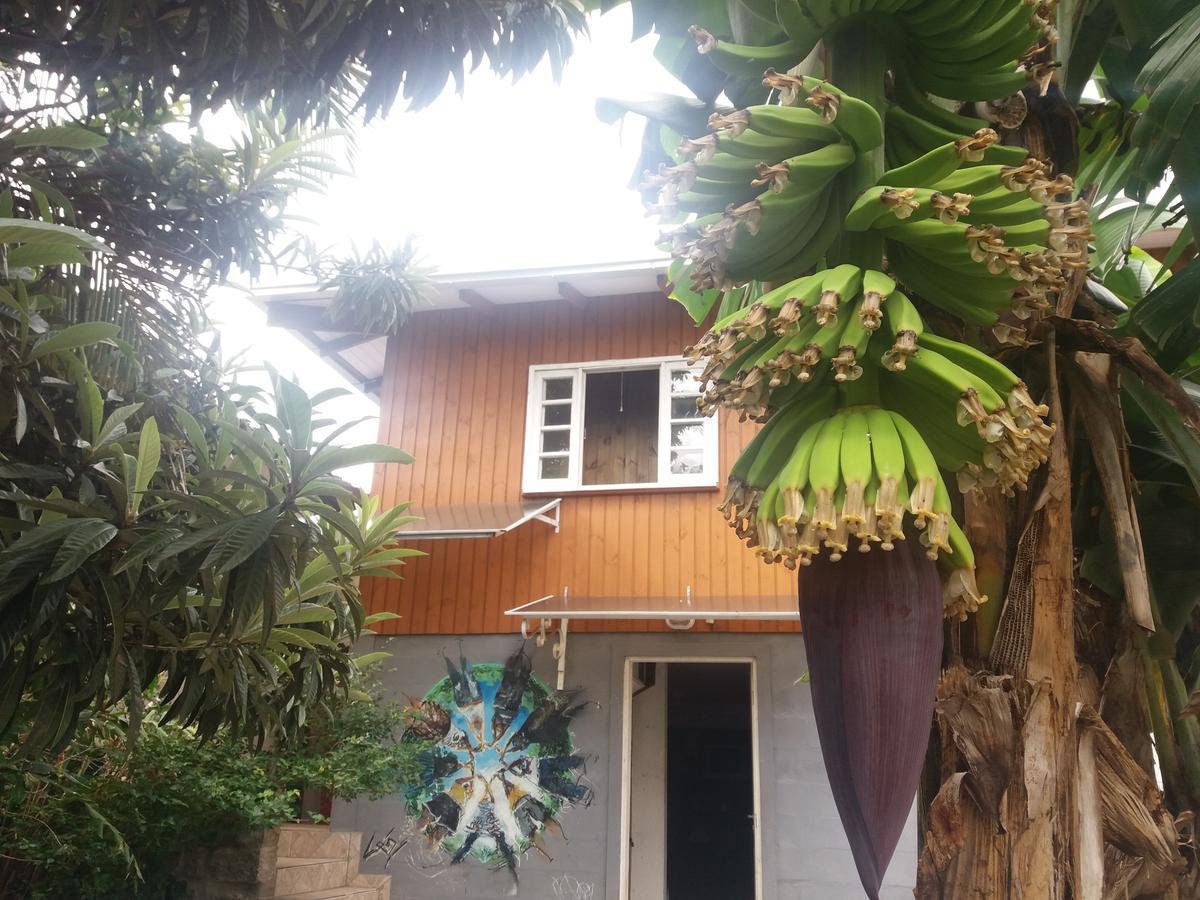 Hostel Casa Terra Florianópolis Eksteriør bilde